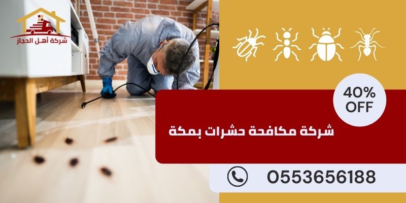 شركة مكافحة حشرات بمكة المكرمة - الحل الأمثل للتخلص من الآفات
