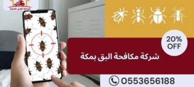 شركة مكافحة البق بمكة