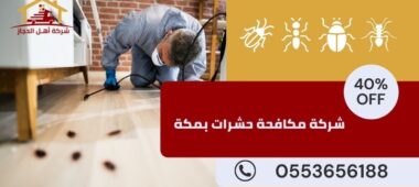 شركة مكافحة حشرات بمكة