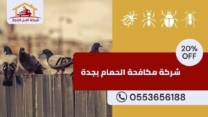 شركة مكافحة الحمام بجدة شركة مكافحة الحمام بجدة