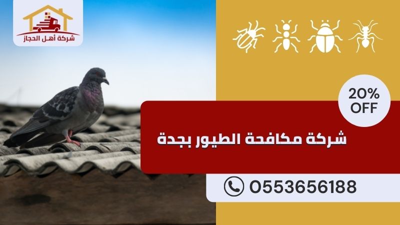 شركة مكافحة الطيور بجدة