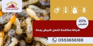 شركة مكافحة النمل الابيض بجدة 2 شركة مكافحة النمل الابيض بجدة
