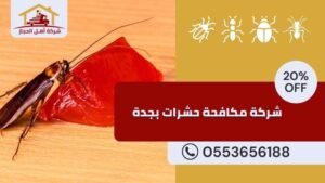 شركة مكافحة حشرات بجدة 2 شركة رش ومكافحة حشرات بجدة