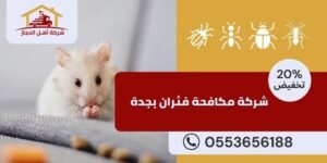 شركة مكافحة فئران بجدة 1 شركة مكافحة فئران بجدة