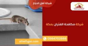 شركة مكافحة الفئران بمكة شركة مكافحة الفئران بمكة