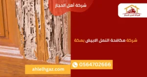 شركة مكافحة النمل الابيض بمكة 1 شركة مكافحة النمل الابيض بمكة