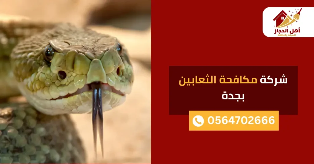 شركة مكافحة الثعابين بجدة شركة مكافحة الثعابين بجدة