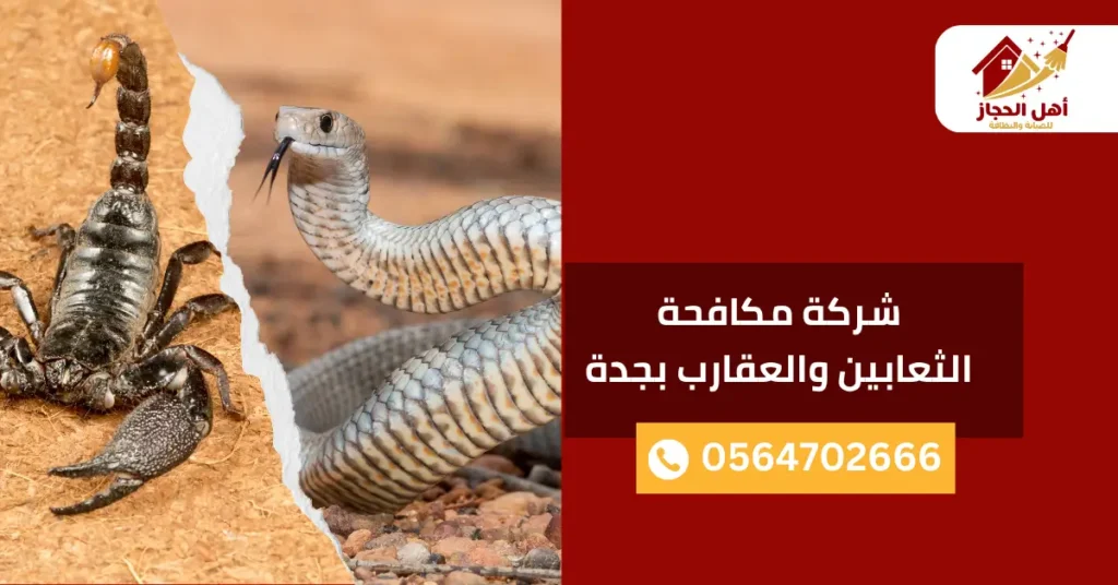 شركة مكافحة الثعابين والعقارب بجدة