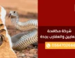 شركة مكافحة الثعابين والعقارب بجدة