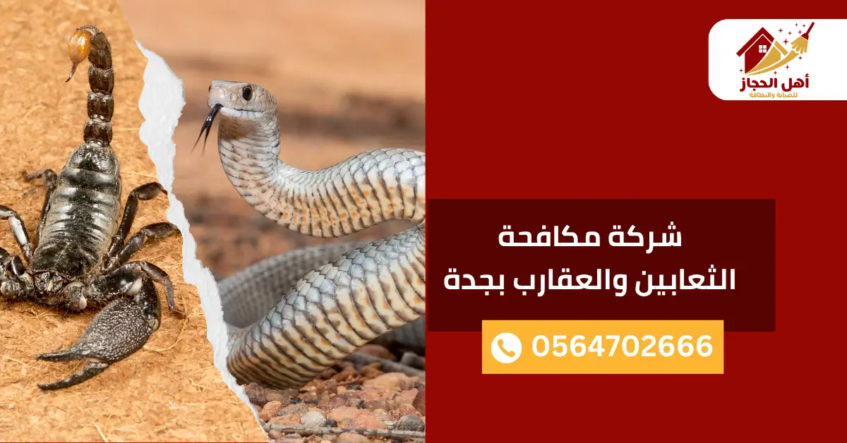 شركة مكافحة الثعابين والعقارب بجدة شركة مكافحة الثعابين والعقارب بجدة