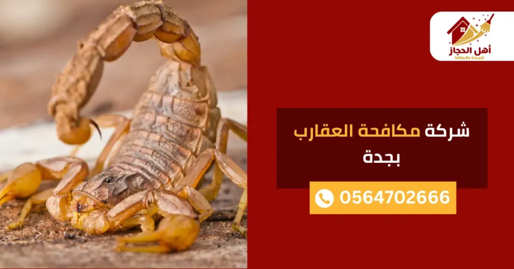 شركة مكافحة العقارب بجدة شركة مكافحة العقارب بجدة