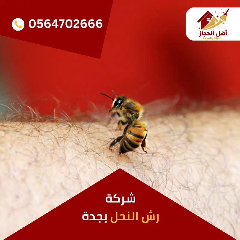 شركة رش النحل بجدة شركة رش النحل بجدة