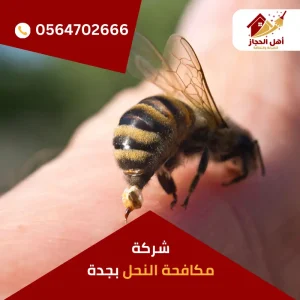 شركة مكافحة النحل بجدة