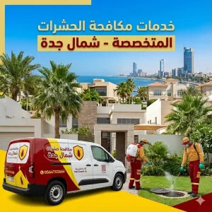 مكافحة الحشرات شمال جدة